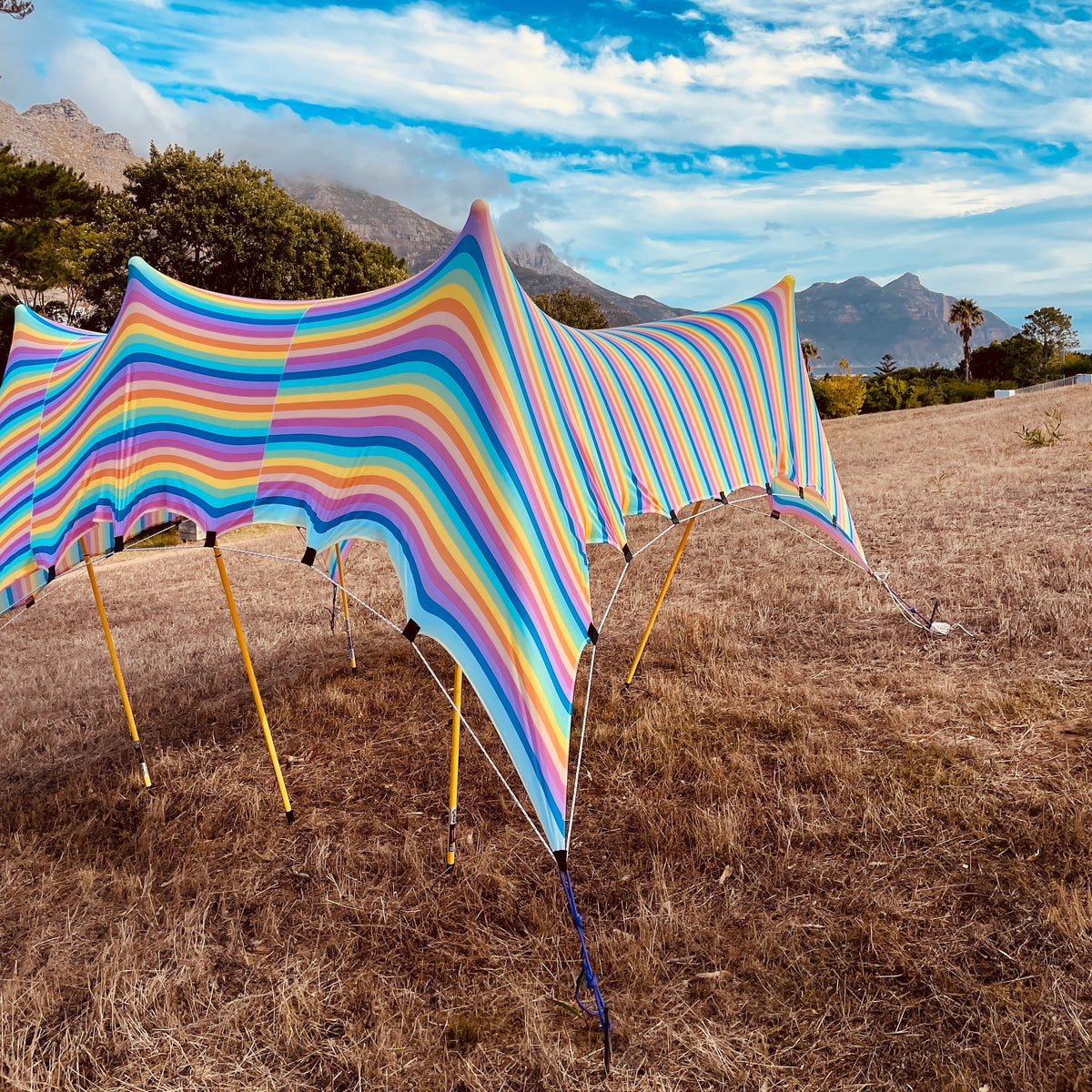Affordable Spring Stretch Tents for South Africa