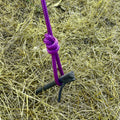 Rebar ground pegs