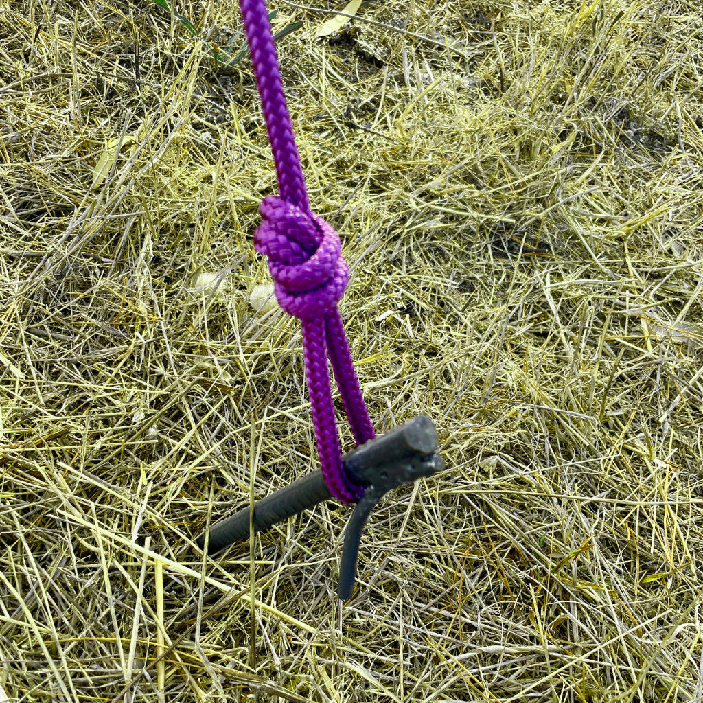Rebar ground pegs